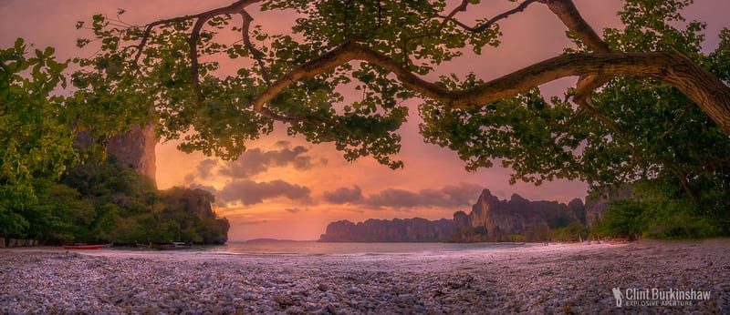 Artist's Picks photo 93