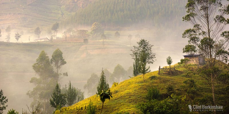 Landscapes photo 146