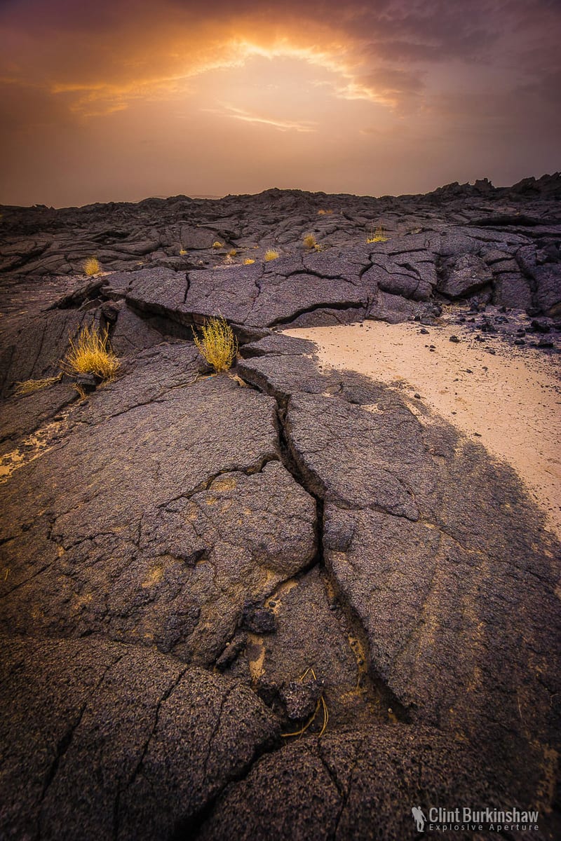 Landscapes photo 141