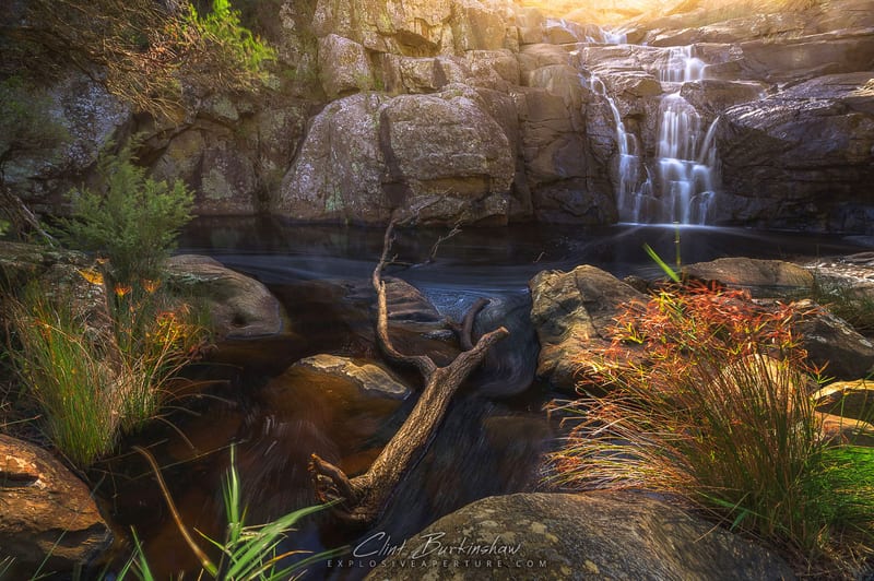 Artist's Picks photo 32