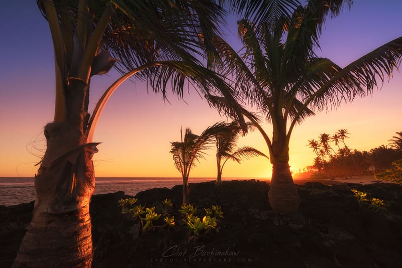 Samoan Coastline