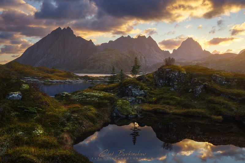 Landscapes photo 30