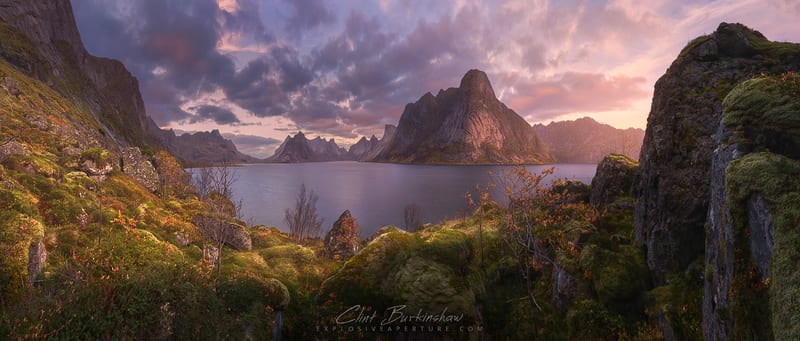Artist's Picks photo 63